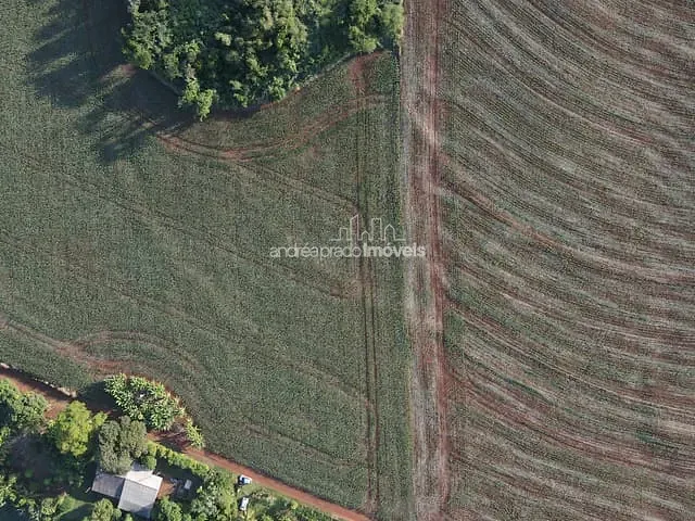 Chácara com 24000m², à venda, no bairro Estrada do Limoeiro em Londrina