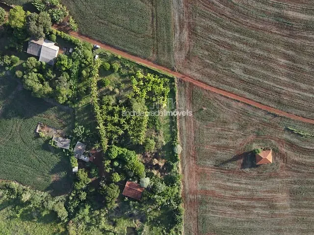 Chácara com 24000m², à venda, no bairro Estrada do Limoeiro em Londrina