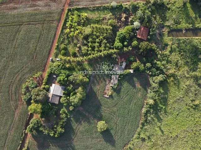 Chácara com 24000m², à venda, no bairro Estrada do Limoeiro em Londrina