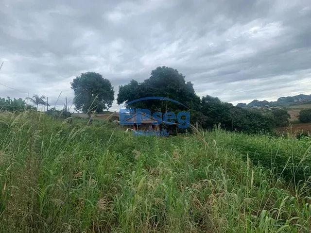 Chácara com 3000m² 3 quartos e 1 banheiro, à venda, no bairro zona rural em Maravilha
