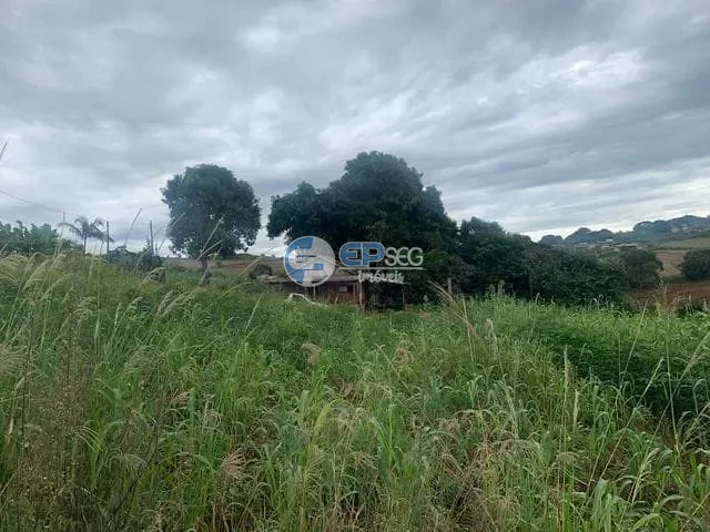 Chácara com 3000m² 3 quartos e 1 banheiro, à venda, no bairro zona rural em Maravilha