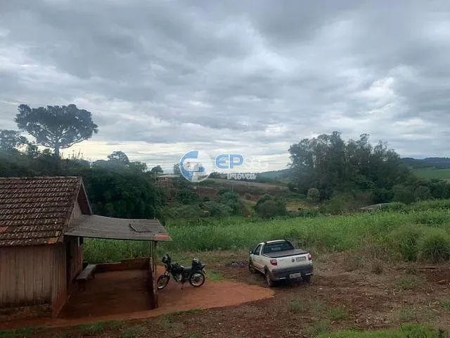 Chácara com 3000m² 3 quartos e 1 banheiro, à venda, no bairro zona rural em Maravilha