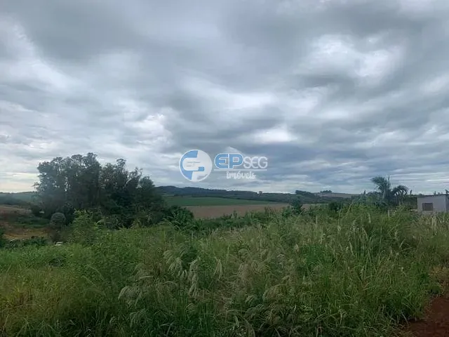 Chácara com 3000m² 3 quartos e 1 banheiro, à venda, no bairro zona rural em Maravilha