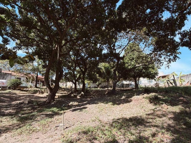 Chácara com 10200m² 3 quartos e 2 banheiros, à venda, no bairro Chácara Parreiral em Serra