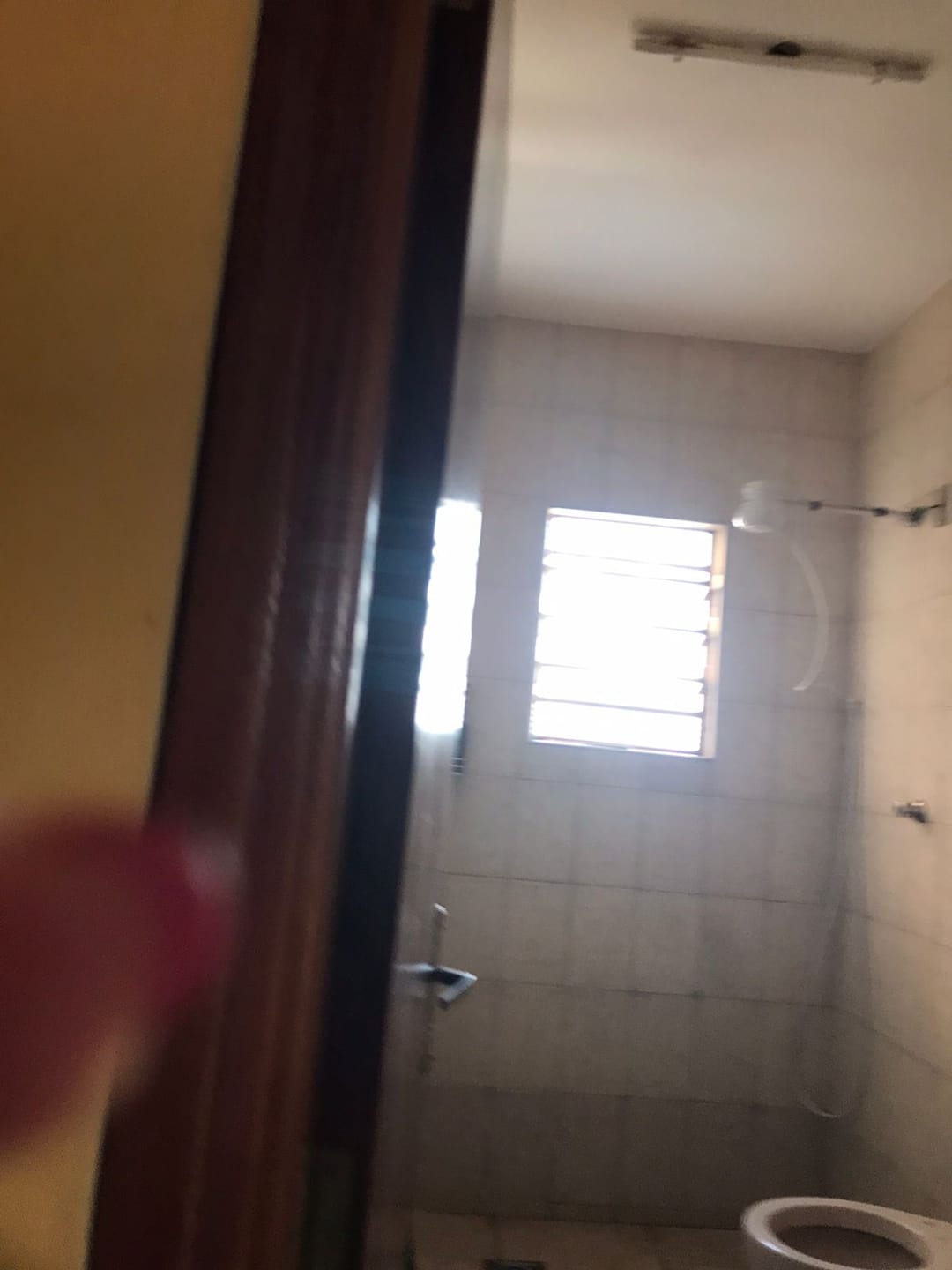 Chácara, 2 quartos, 1500 m² - Foto 13