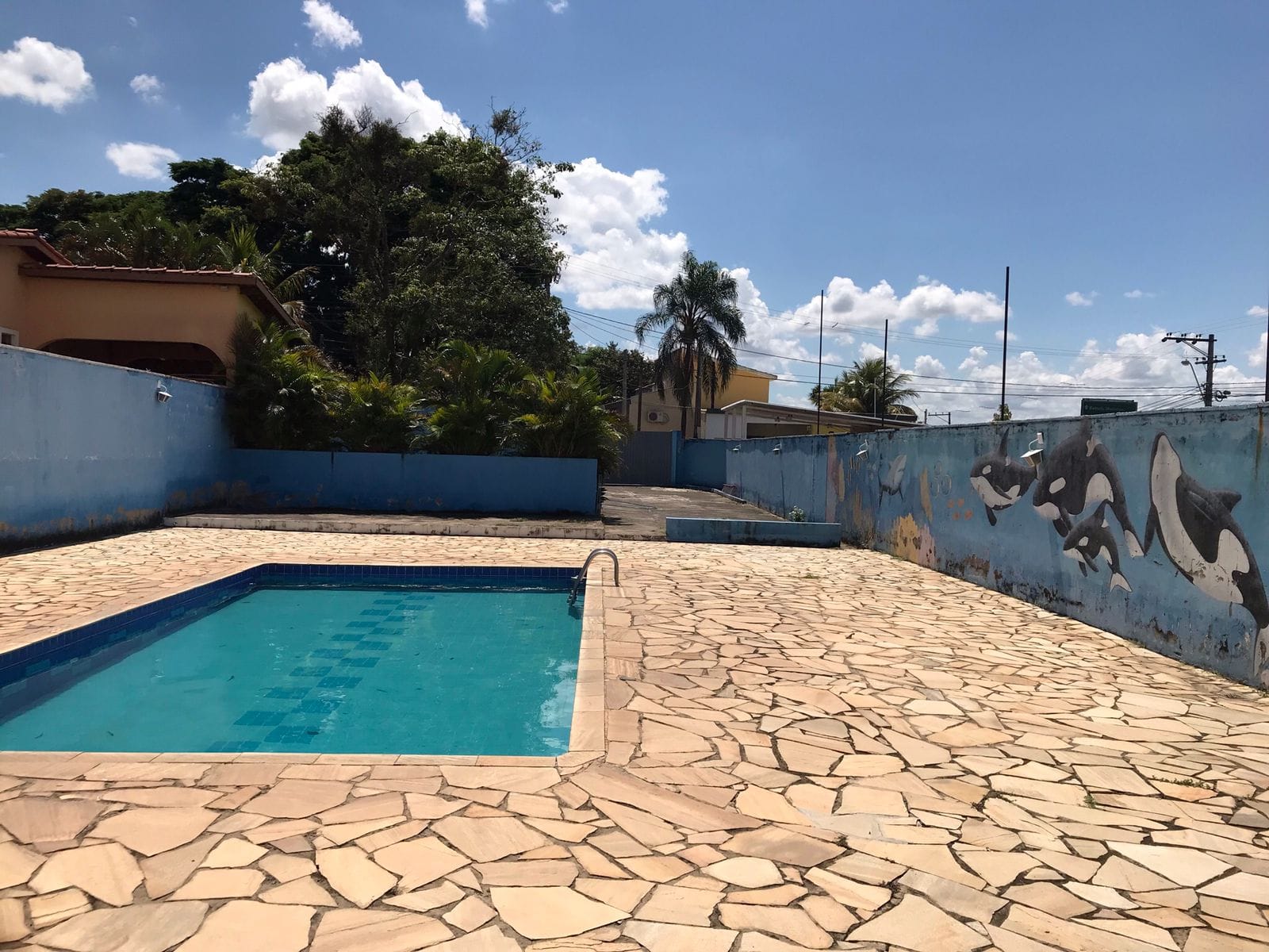 Chácara, 2 quartos, 1500 m² - Foto 29