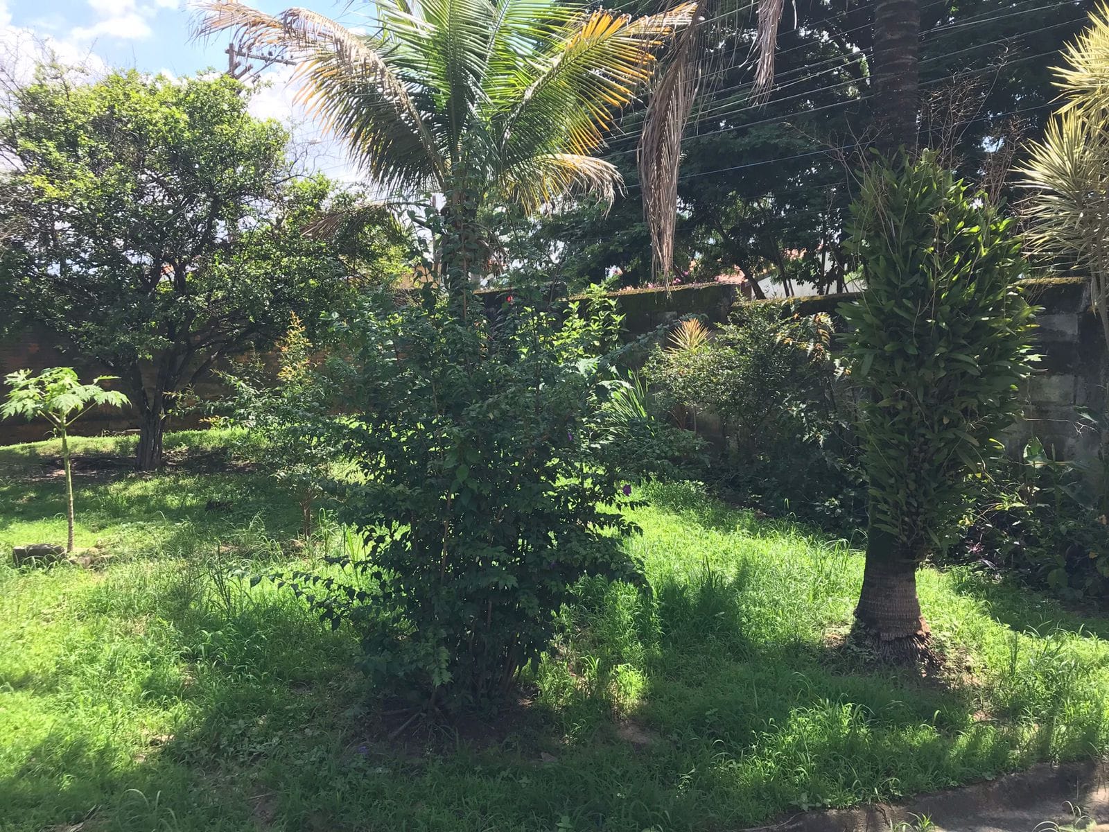 Chácara, 2 quartos, 1500 m² - Foto 35