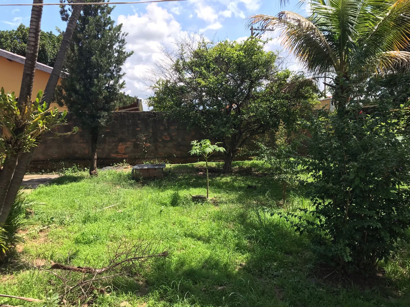 Chácara, 2 quartos, 1500 m² - Foto 34