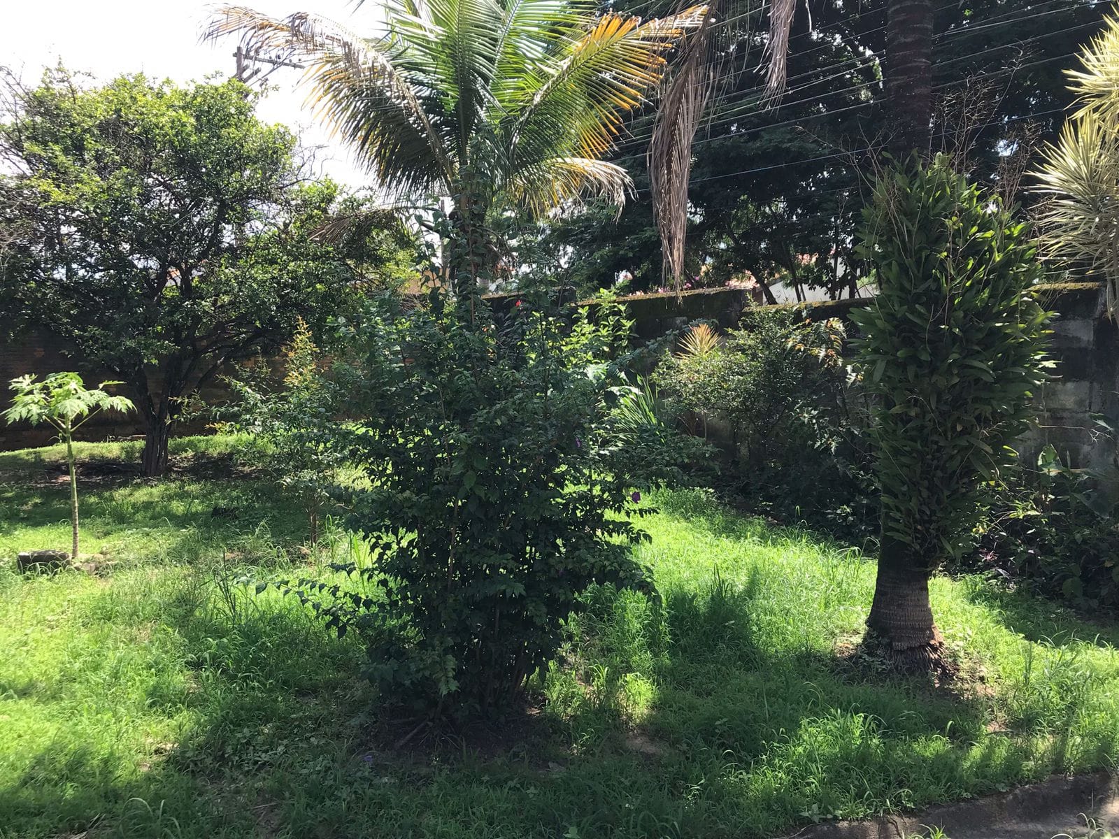 Chácara, 2 quartos, 1500 m² - Foto 5