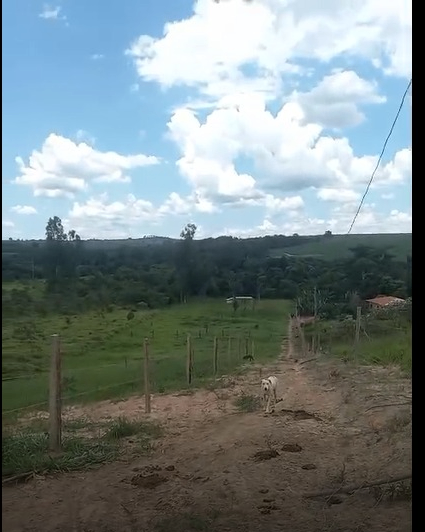 Sítio, 3 quartos, 2 hectares - Foto 10