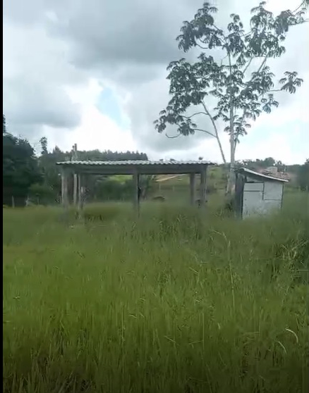 Sítio, 3 quartos, 2 hectares - Foto 6