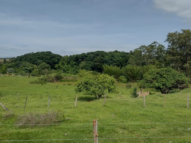 Chácara com 14000m², à venda, no bairro Zona Rural em Louveira