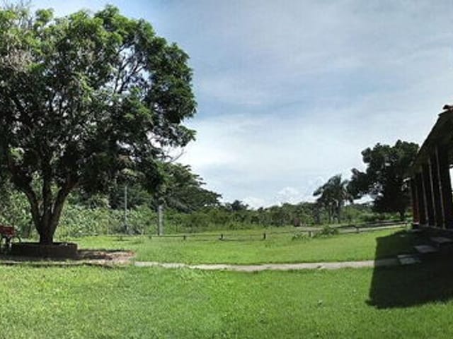 Chácara com 15000m² 1 quarto e 1 banheiro, à venda, no bairro 23 de Setembro em Várzea Grande