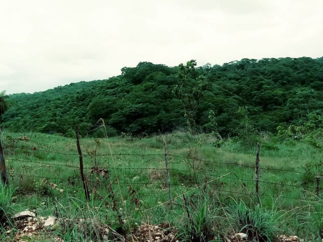 Foto do Terreno - Terreno a Venda no Manso, CHAPADA DOS GUIMARÃES-MT,  Assentamento no Alto do Jordão -19 hectares- km 84- 3 cachoeiras | Lyah Jaudy Imóveis