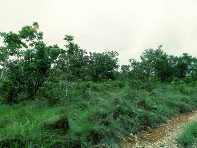 Foto do Terreno - Terreno a Venda no Manso, CHAPADA DOS GUIMARÃES-MT,  Assentamento no Alto do Jordão -19 hectares- km 84- 3 cachoeiras | Lyah Jaudy Imóveis