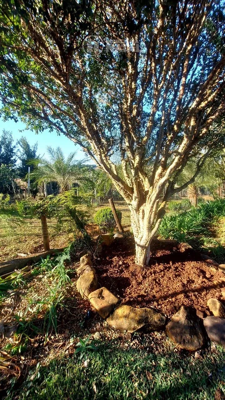 Sítio, 5 quartos, 4 hectares - Foto 12
