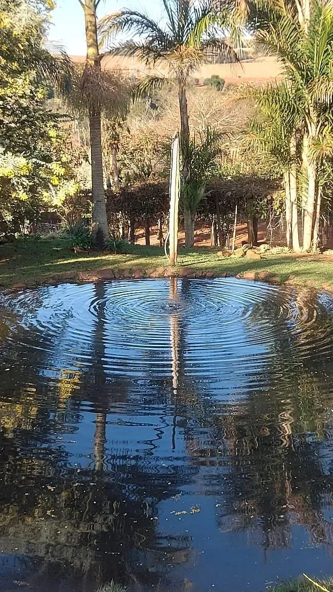 Sítio, 5 quartos, 4 hectares - Foto 11