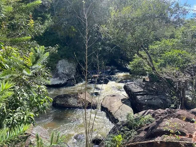 Chácara com 10000m² 4 quartos e 8 banheiros, à venda, no bairro Zona Rural em Baependi