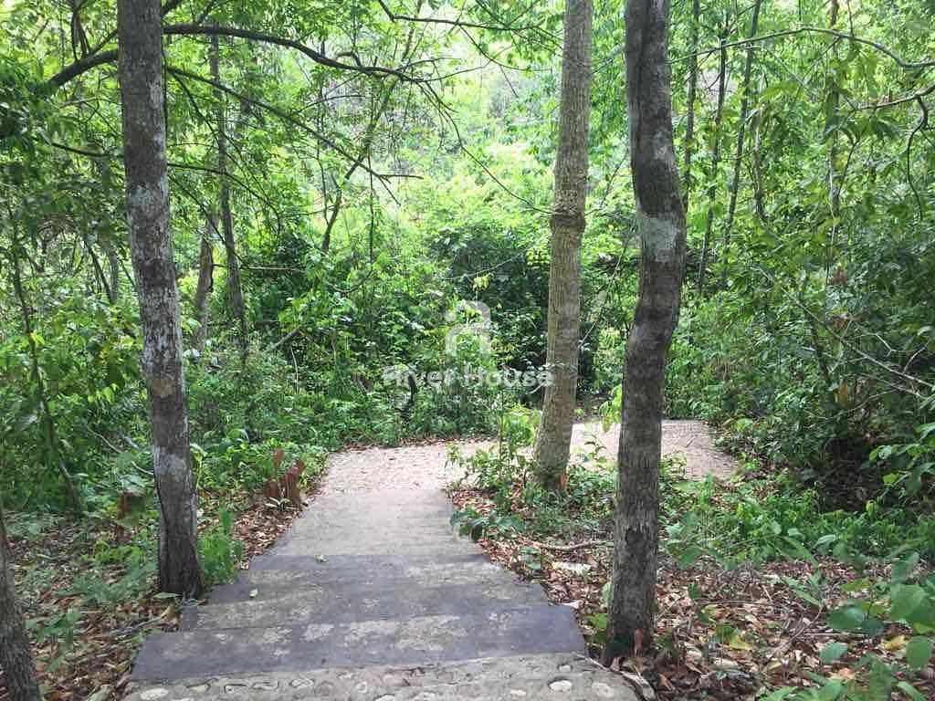 Chácara, 4 quartos, 7 hectares - Foto 13