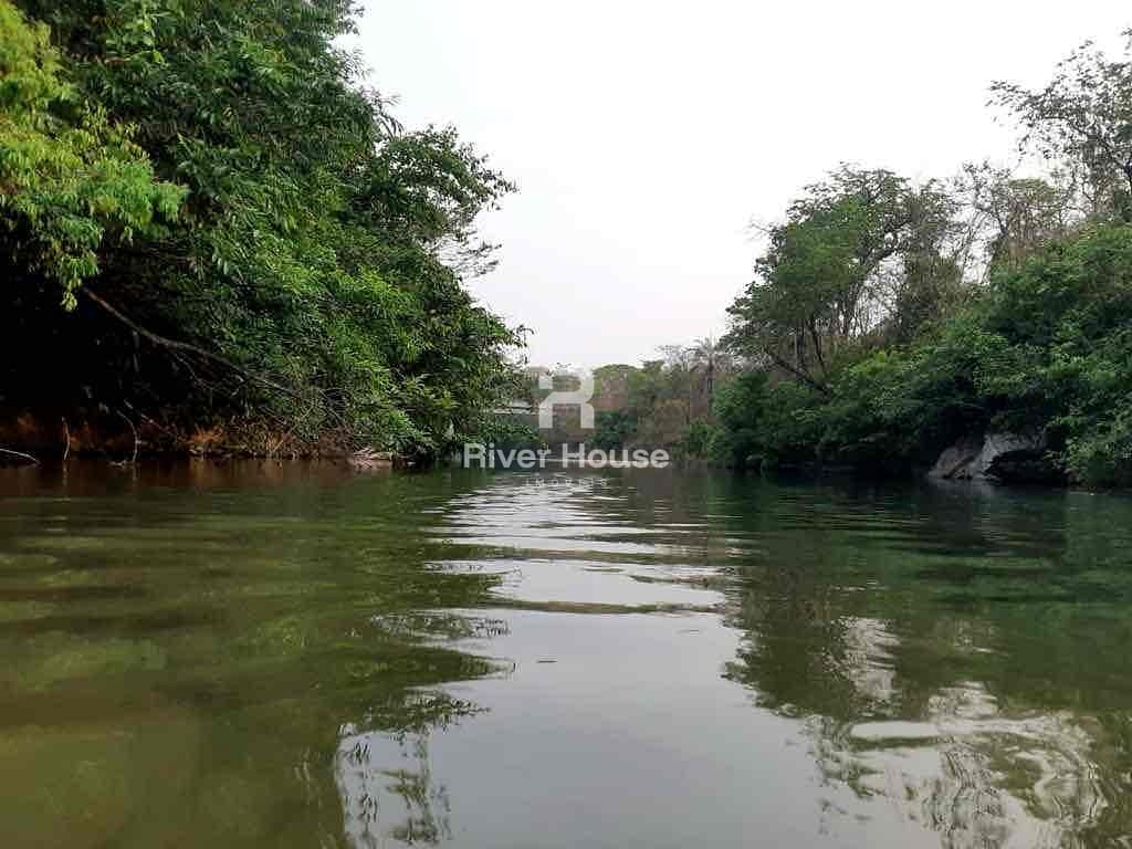 Chácara, 4 quartos, 7 hectares - Foto 16