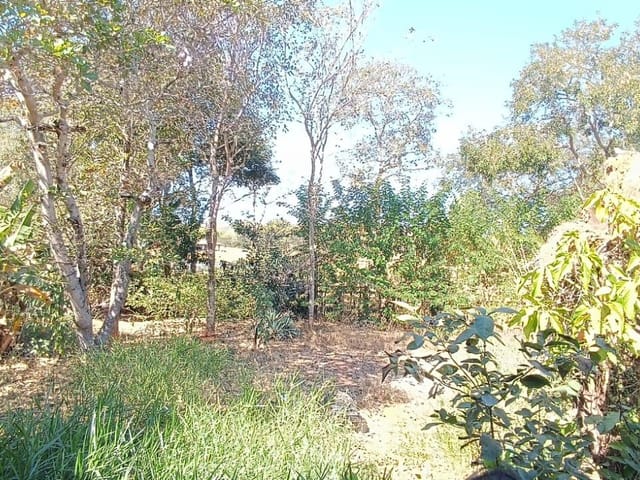 Chácara com 175m² 3 quartos e 1 banheiro, à venda, no bairro RECANTO DAS ARARAS em Jaboticatubas
