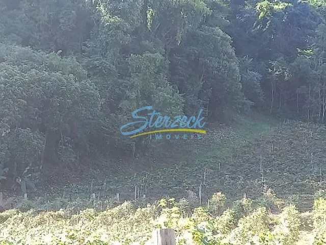 Chácara com 61257m², à venda, no bairro Abadia em Louveira