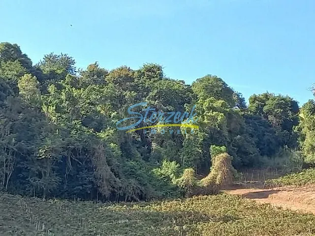Chácara com 61257m², à venda, no bairro Abadia em Louveira
