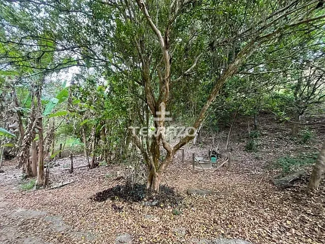 Chácara com 3600m², à venda, no bairro Califórnia da Barra em Barra do Piraí