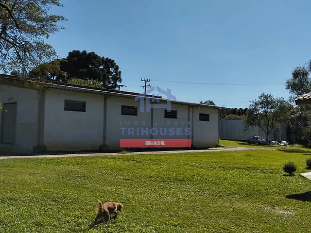 Chácara com 8000m² 2 quartos e 1 banheiro, à venda, no bairro rodeio santo antonio em Balsa Nova