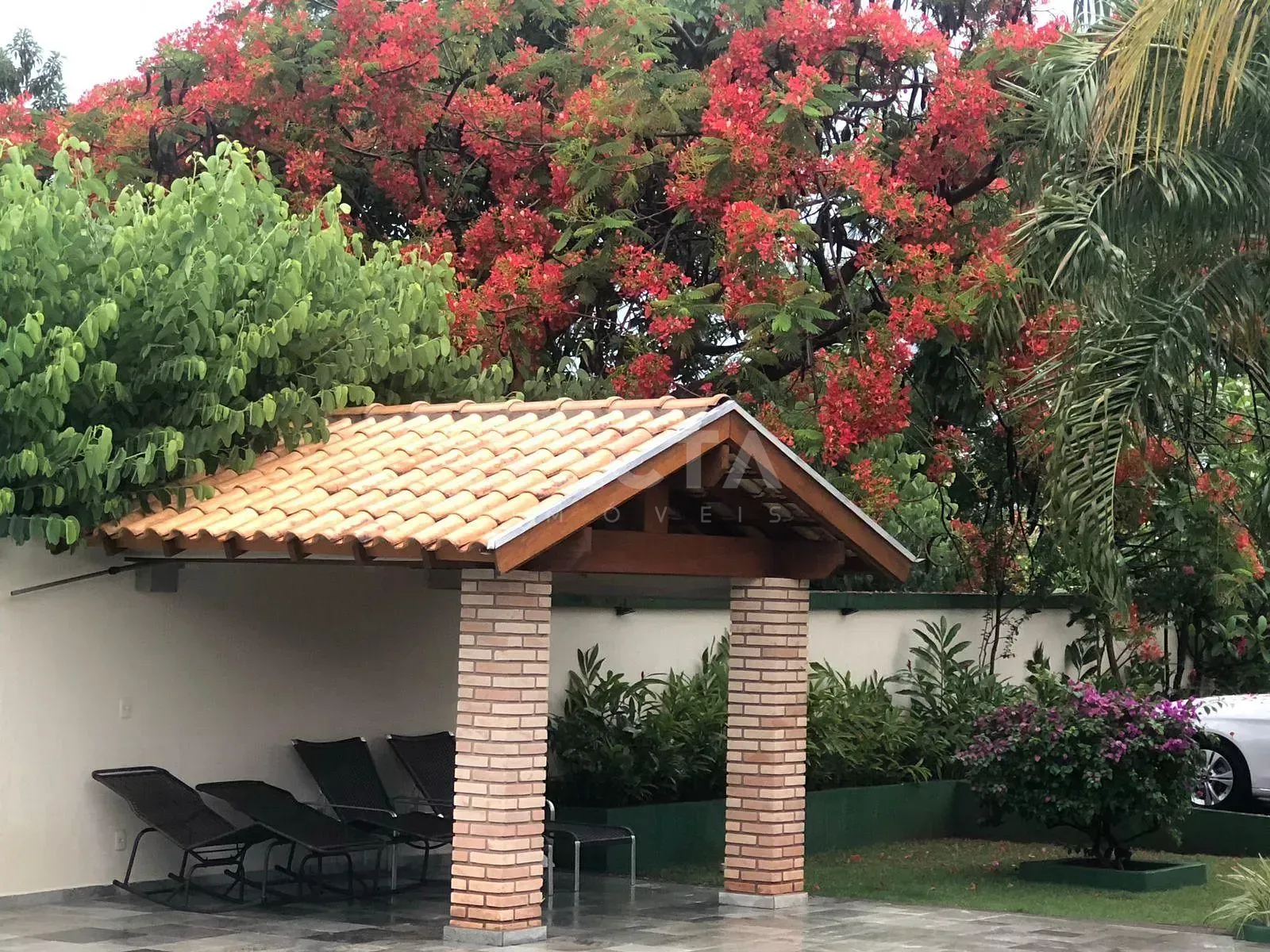 Sítio, 3 quartos, 1200 m² - Foto 3