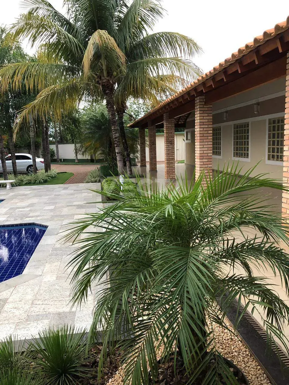 Sítio, 3 quartos, 1200 m² - Foto 1