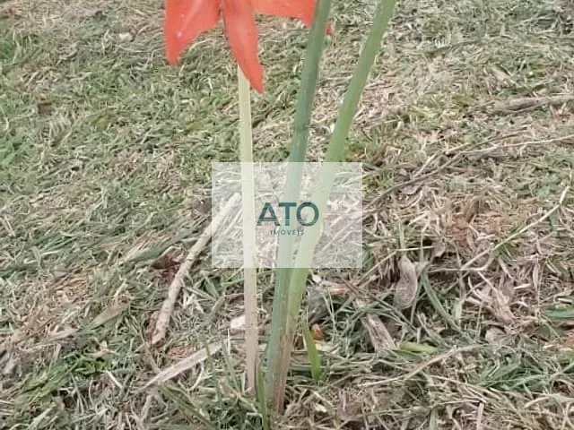 Chácara com 1500m², à venda, no bairro TIMBÉ em Tijucas