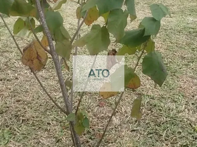 Chácara com 1500m², à venda, no bairro TIMBÉ em Tijucas