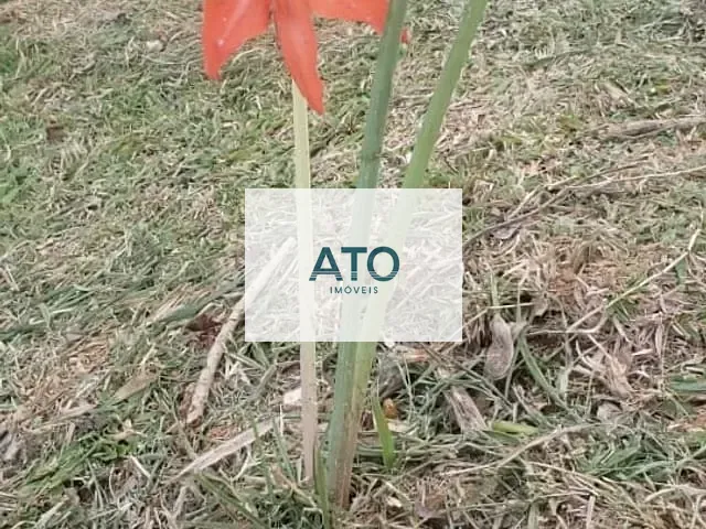 Chácara com 1500m², à venda, no bairro TIMBÉ em Tijucas