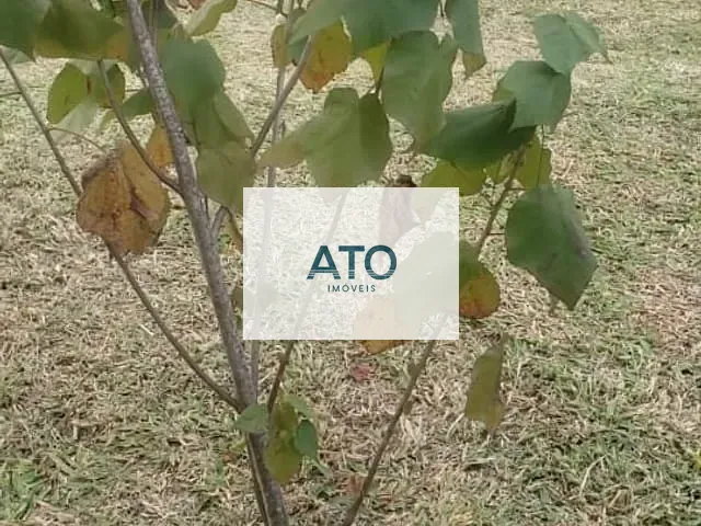 Chácara com 1500m², à venda, no bairro TIMBÉ em Tijucas