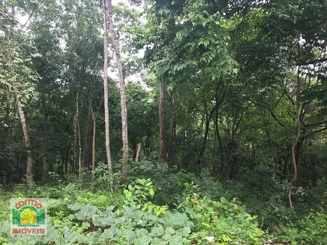 Chácara com 387200m² 3 quartos e 2 banheiros, à venda, no bairro Setor Central em São Francisco de Goiás
