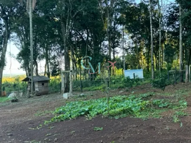 Chácara com 1610m² 4 quartos e 1 banheiro, à venda, no bairro Pesqueiro em Xanxerê