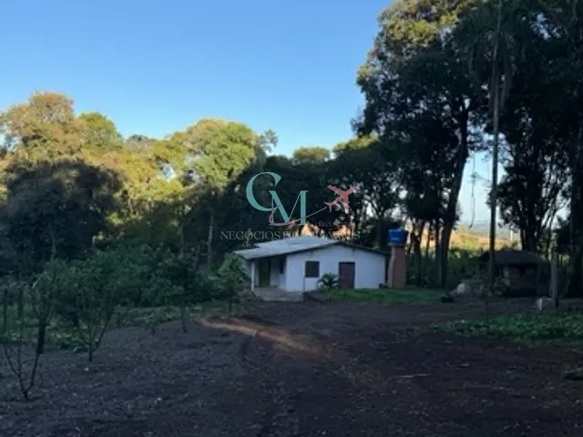 Chácara com 1610m² 4 quartos e 1 banheiro, à venda, no bairro Pesqueiro em Xanxerê