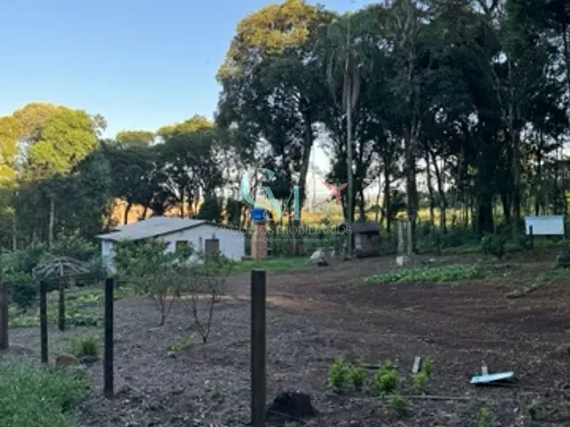Chácara com 1610m² 4 quartos e 1 banheiro, à venda, no bairro Pesqueiro em Xanxerê