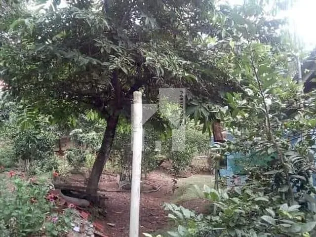 Chácara com 3450m² 3 quartos e 1 banheiro, à venda, no bairro Chácara Nova Essen em Campo Limpo Paulista