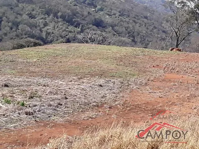 Chácara com 60500m², à venda, no bairro Área Rural de Apucarana em São Domingos