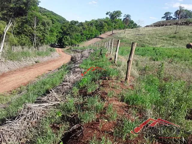 Chácara com 60500m², à venda, no bairro Área Rural de Apucarana em São Domingos