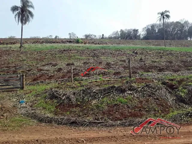 Chácara com 60500m², à venda, no bairro Área Rural de Apucarana em São Domingos