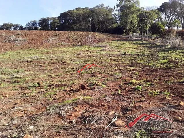 Chácara com 60500m², à venda, no bairro Área Rural de Apucarana em São Domingos