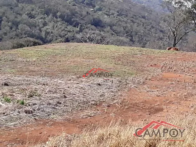 Chácara com 60500m², à venda, no bairro Área Rural de Apucarana em São Domingos