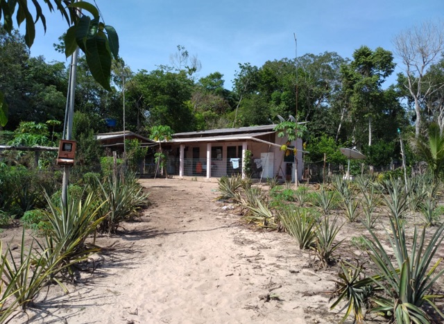 Chácara com 40000m², à venda, no bairro Área Rural de Nova Mutum em Nova Mutum
