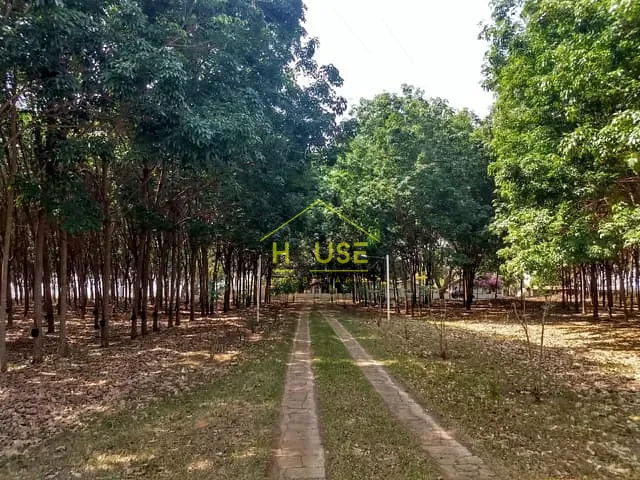 Chácara com 56500m², à venda, no bairro Barbalho em Salvador