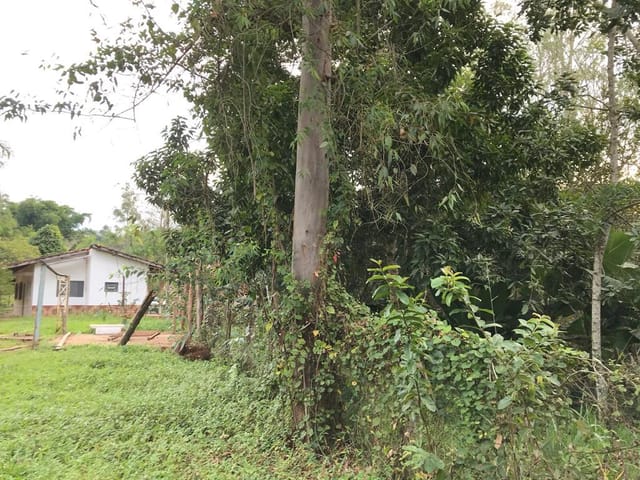 Foto do Chácara - Chácara à venda, 5000 m² por R$ 640.000,00 - Zona Rural - Monteiro Lobato/SP | INDEPENDENCE NEGOCIOS IMOBILIARIOS LTDA