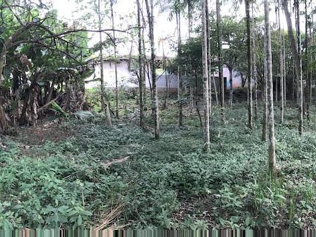 Foto do Chácara - Chácara à venda, 5000 m² por R$ 640.000,00 - Zona Rural - Monteiro Lobato/SP | INDEPENDENCE NEGOCIOS IMOBILIARIOS LTDA
