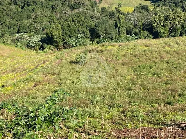 Chácara com 64m² 2 quartos e 1 banheiro, à venda, no bairro LINHA GERALDA em Teutônia